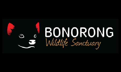 Bonorong Wildlife Sanctuary logo and link